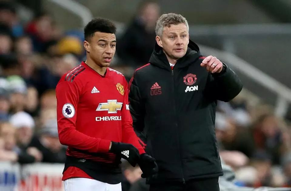 马的氛围中 马的氛围中